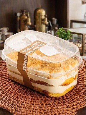 Transparent Medium Rectangle Dessert Cup With Spoon